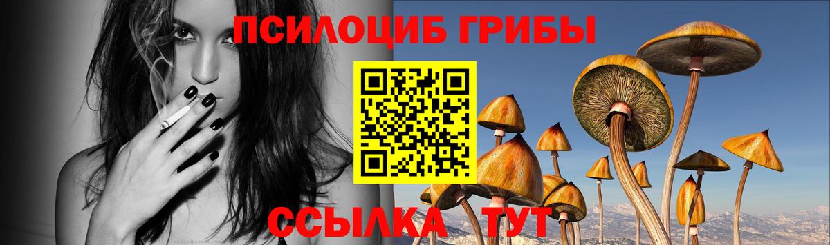 Галлюциногенные грибы мухоморы  Вход с VPN  Рузаевка 